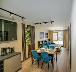 Apartament Kilińskiego 17a,2, Szklarska Poręba